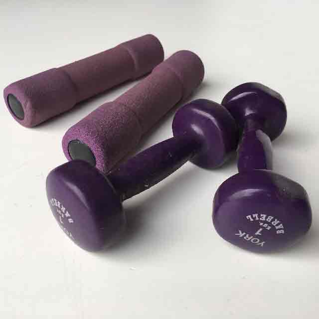 WEIGHT, Dumbell Ladies Pair