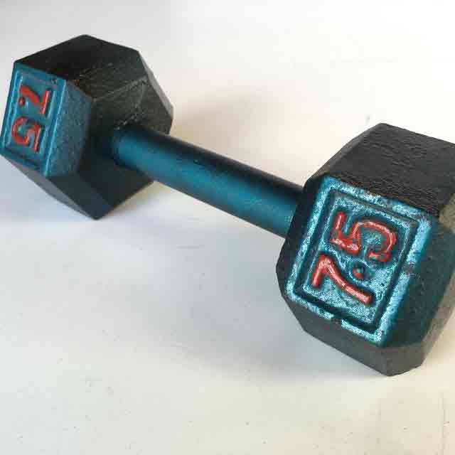 WEIGHT, Dumbell 7.5kg