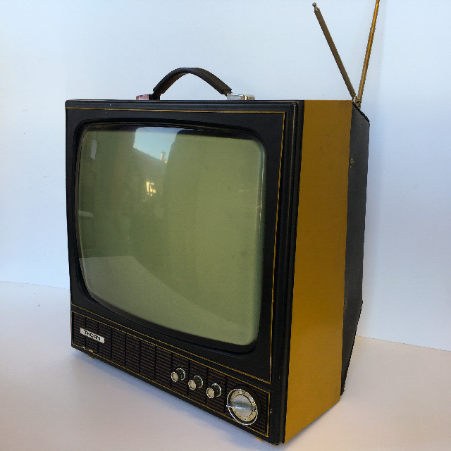 TELEVISION - Mustard Thorn 44cm W