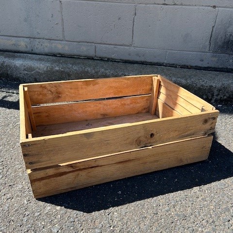 CRATE, Small - Shallow (47x23x15cm H)